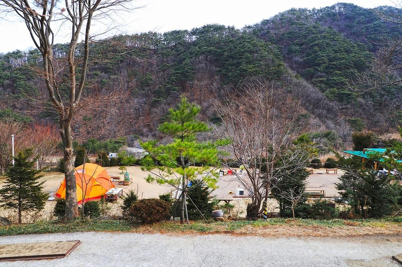 벳소캠프 시설 사진 6