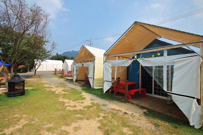 영천 솔롱고 글램핑 시설 사진 13