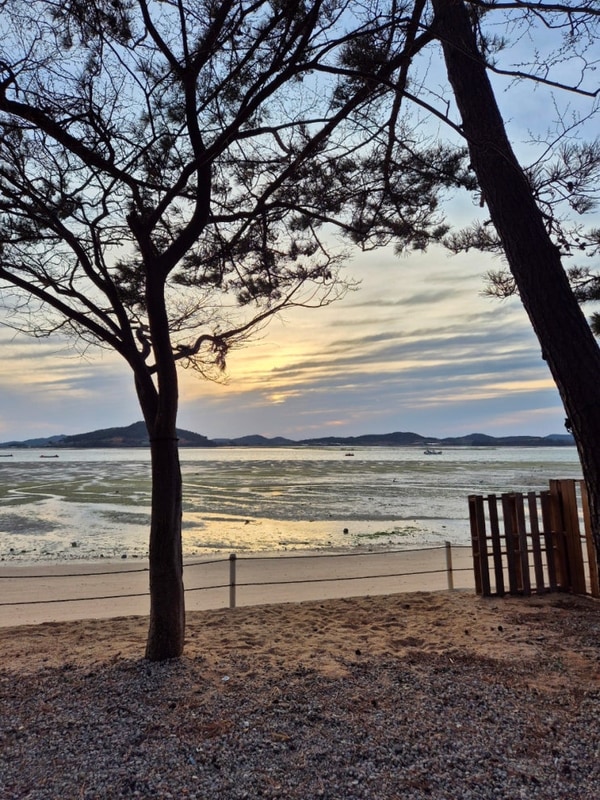 :::캠핑기록5, 무안 홀통183캠핑장 :::