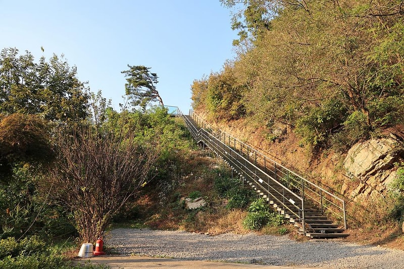 펫밀리애견파크타운 시설 사진 7