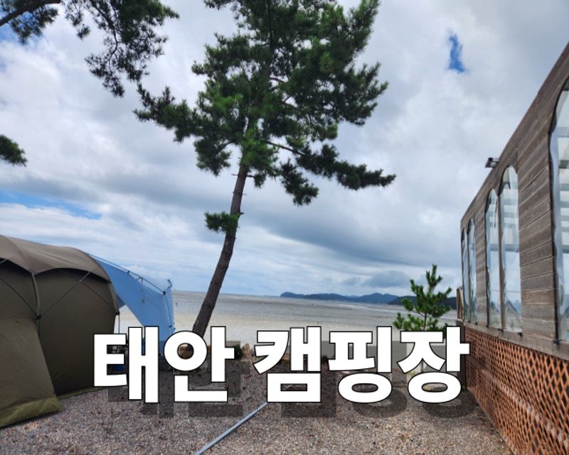 태안 머드오토 캠핑장(feat.조개캐기)