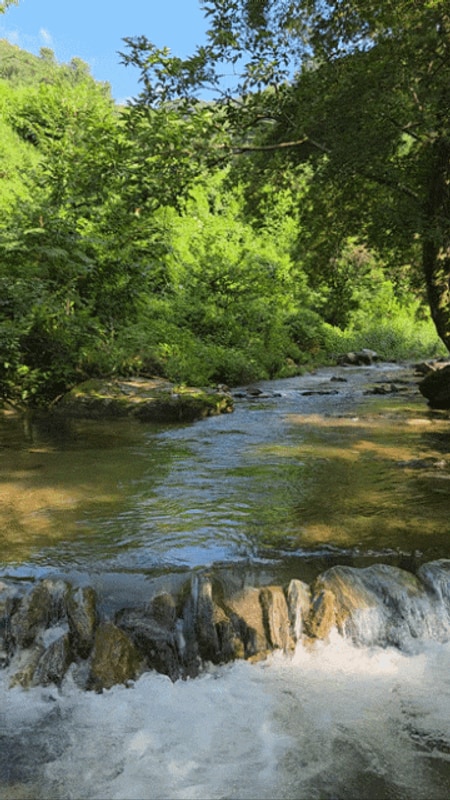 가평군 설악면 놀기 좋은 시원한 계곡 캠핑장이 있는 '가평설악...