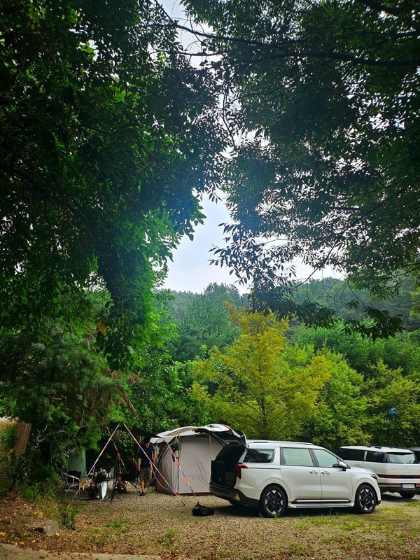 캠핑! 여주 하늘타리캠핑장 후기