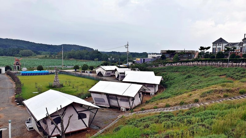 태안 안면도 비비애견동반캠핑장 시설 사진 13