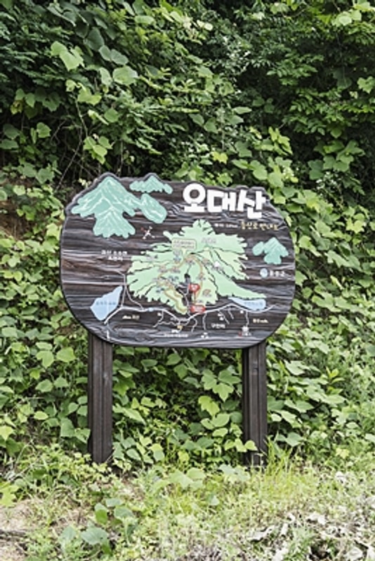 [음성캠핑장] 음성농촌관광농원 자연 속 힐링 캠핑