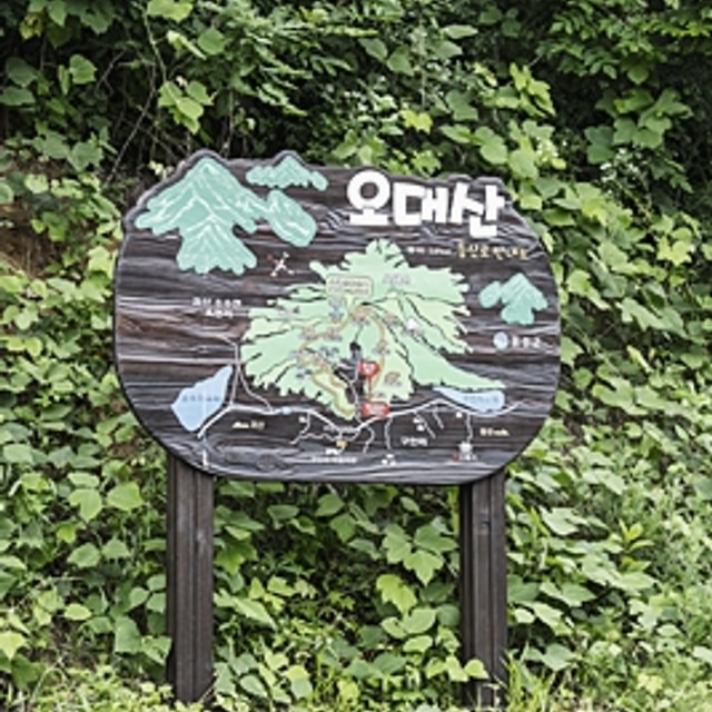 음성농촌관광농원(농업회사법인 하나주식회사) 대표 사진