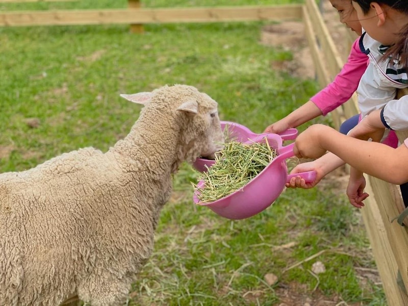 jj오토캠핑장 시설 사진 9