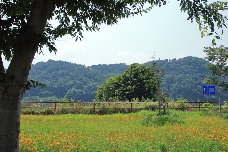 청양 동강리 오토캠핑장 시설 사진 10