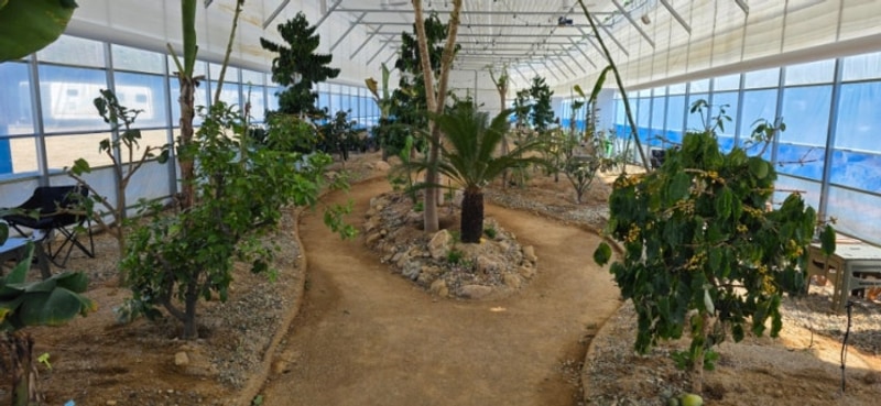 [구미 산동 카페]송백농원 신상카페, 식물원 카페, 카라반...