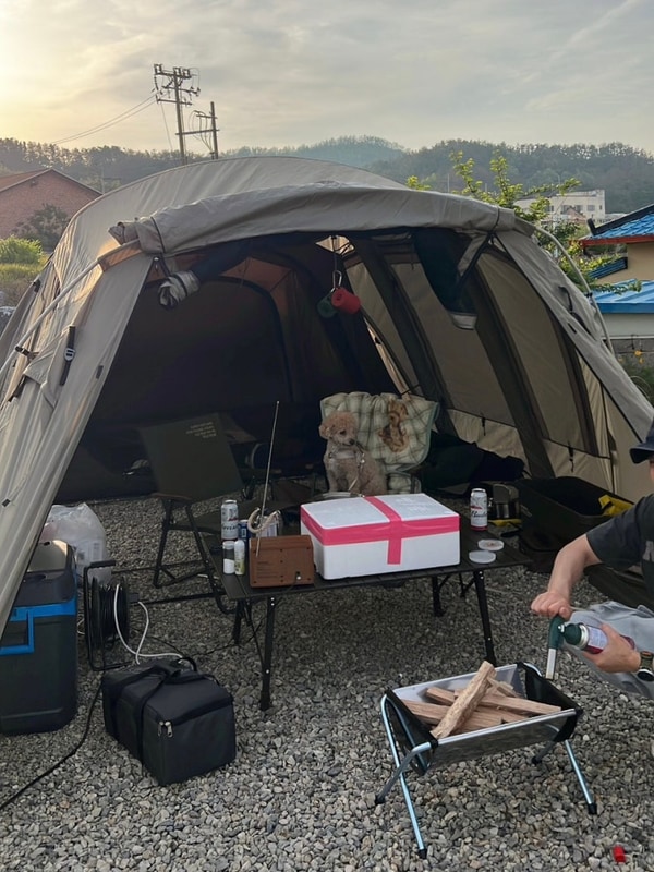경북 포항 오토캠핑장 추천 오션뷰 애견동반 “백경오토캠핑장”