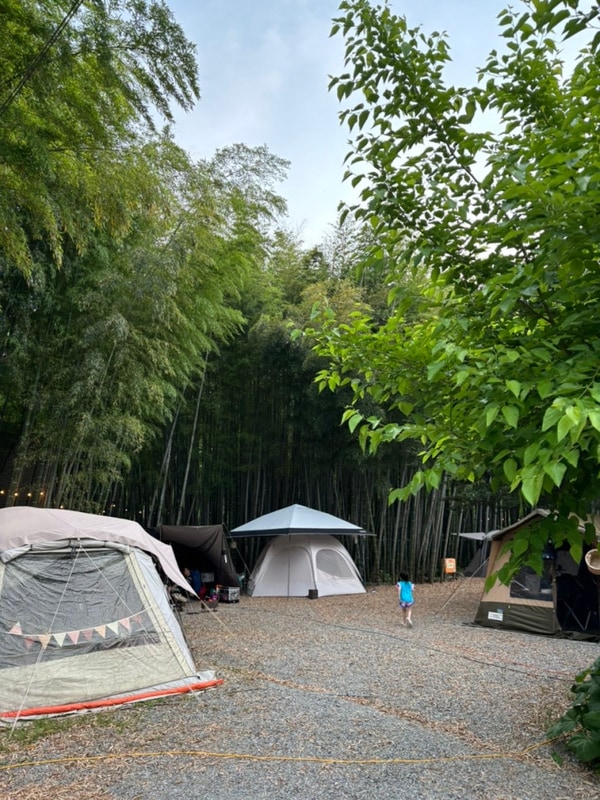 담양 대나무골캠핑장 - 대통주 파는 곳, 4번 자리,캠핑장 시설...