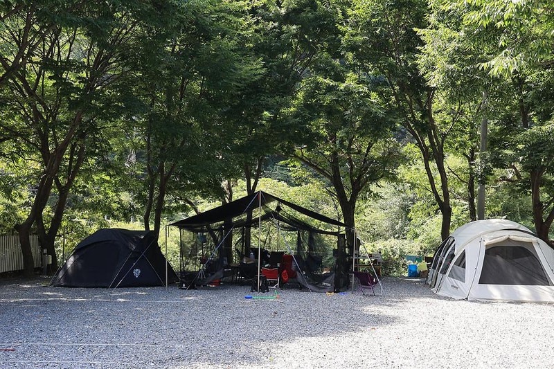 새솔캠핑장&펜션 시설 사진 13