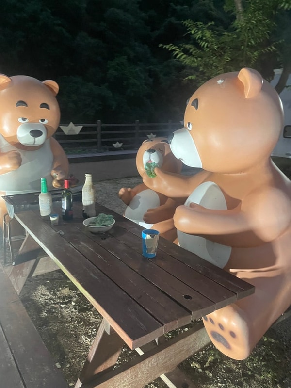 영천 치산관광지 캠핑장 후기