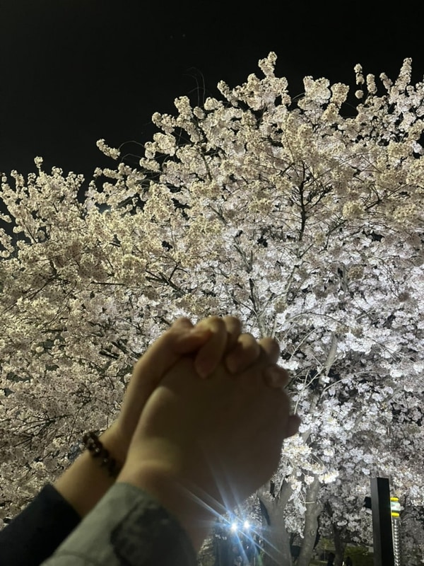 [캠핑] 4월 봄날, 벚꽃캠핑 용인 싱글벙글캠핑장