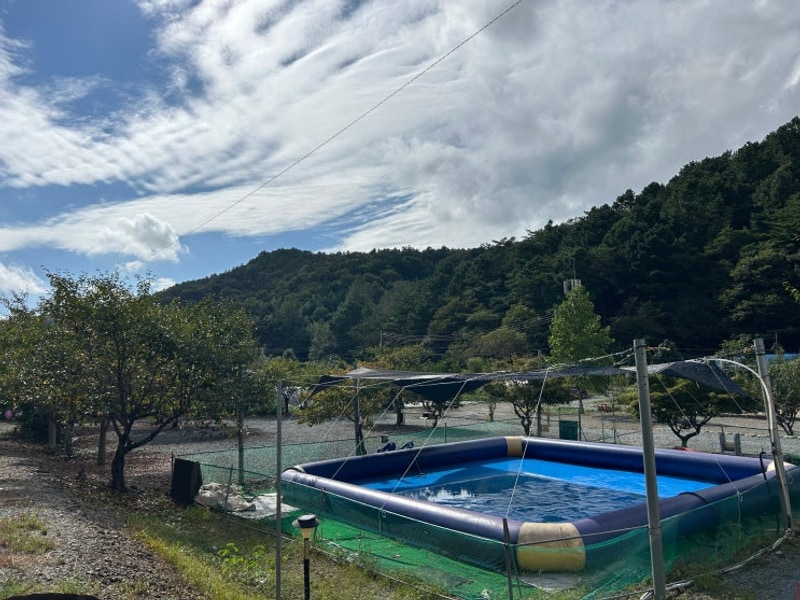 [나주] 자연애 스토리 캠핑장 방문 후기