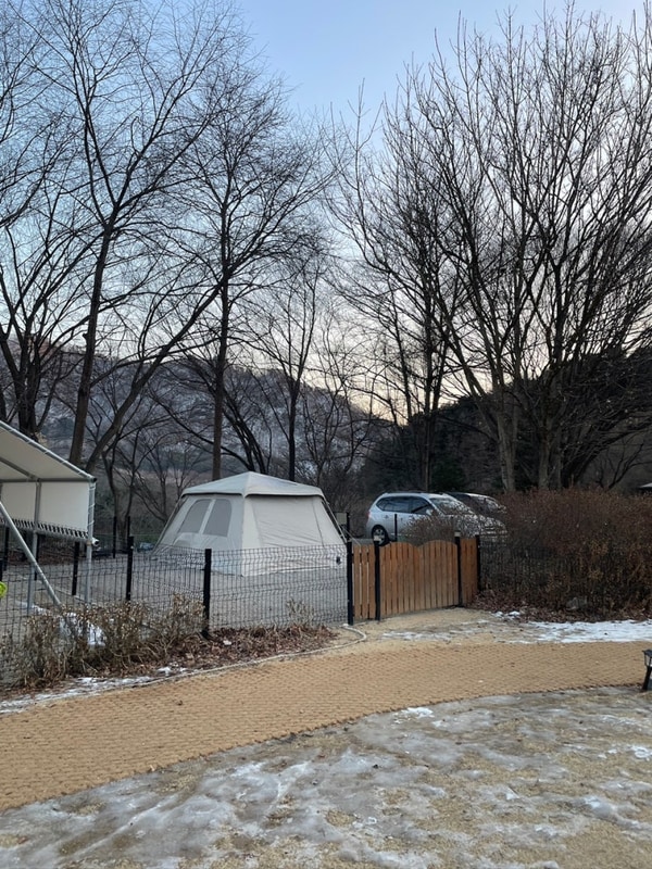 반려견동반 솔캠 / 강원도 양구 민트초코캠핑장 / 쿠디 5.8...