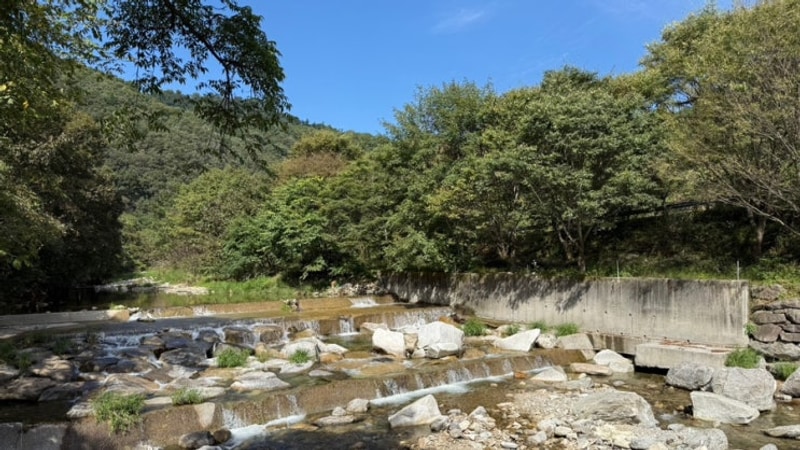 [블챌] 캠핑엔 오리백숙이지! 가평 물의나라캠핑장.