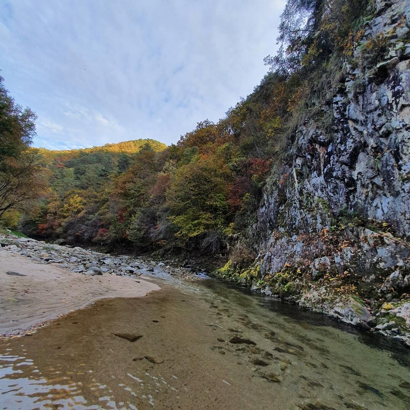 강원 홍천 알프스밸리 캠핑나라 글램독 시설 사진 3