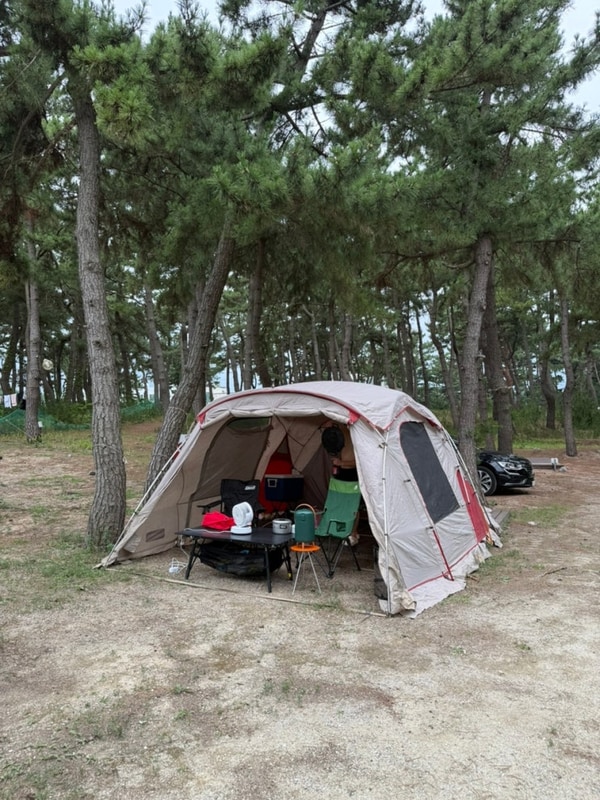 [강원/양양] 지경해수욕장 지경국민여가캠핑장 해변데크 44번...