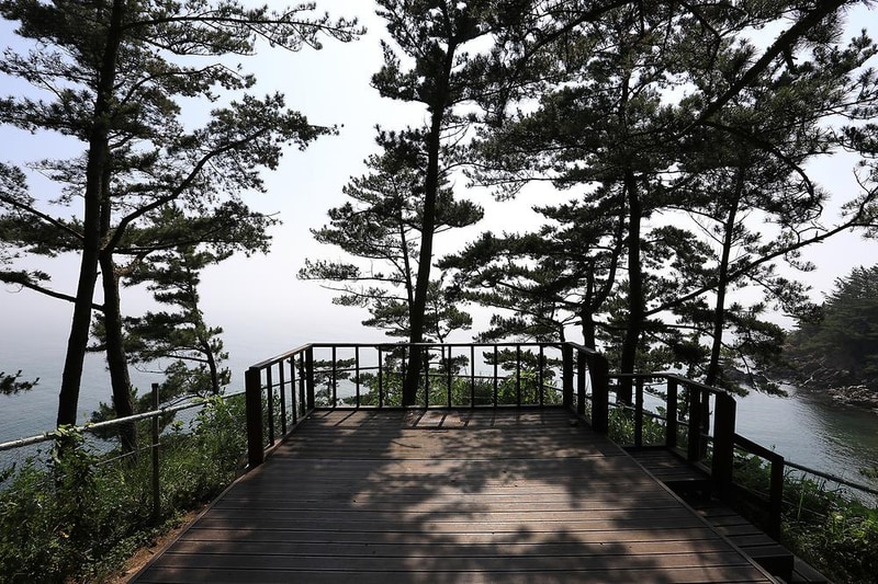 태안둘레길캠핑장 시설 사진 12