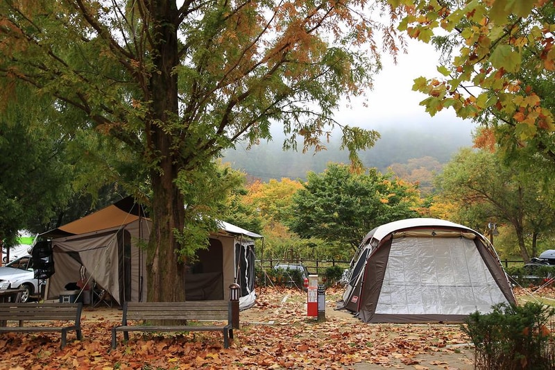 주왕산국립공원 상의자동차 야영장 시설 사진 7