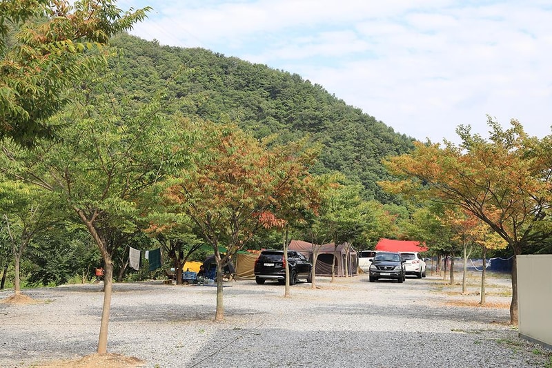엄소리오토캠핑장 시설 사진 2