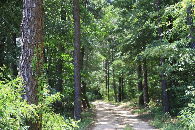 교동아일랜드 시설 사진 11