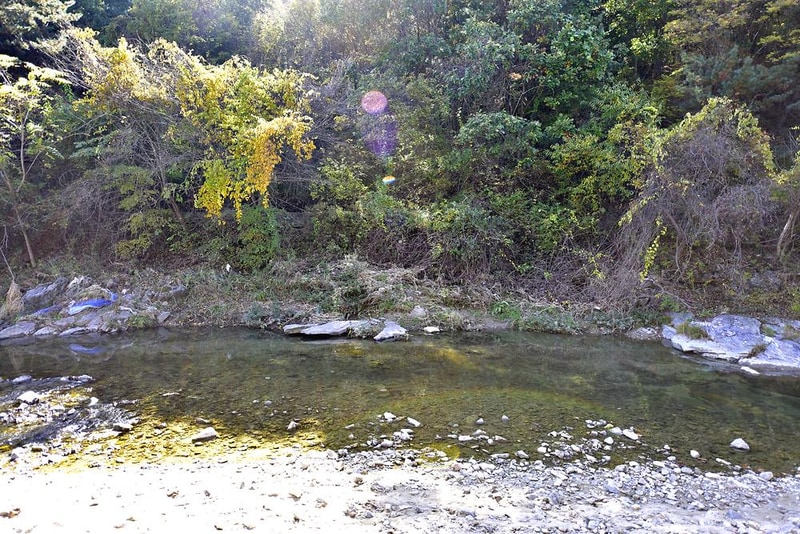 알파고글램핑 시설 사진 9