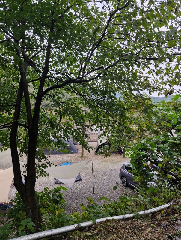 용인 싱글벙글캠핑장 - 딱히 명당 없는 D사이트 후기