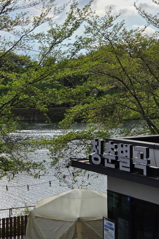 진주 청춘별곡 캠핑은 아닌 캠크닉 후기 (절망편)