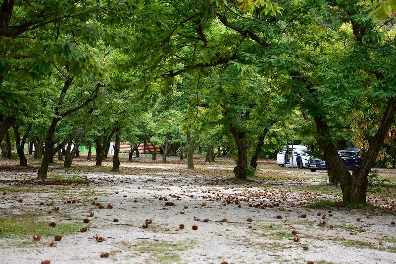 무지개 서는 마을 시설 사진 12