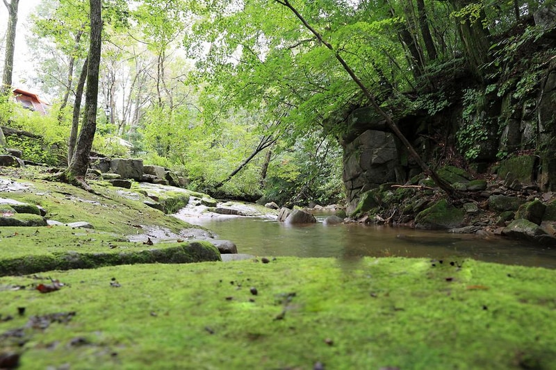 마루지 캠프 시설 사진 12