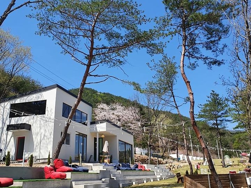 산내956 대표 사진