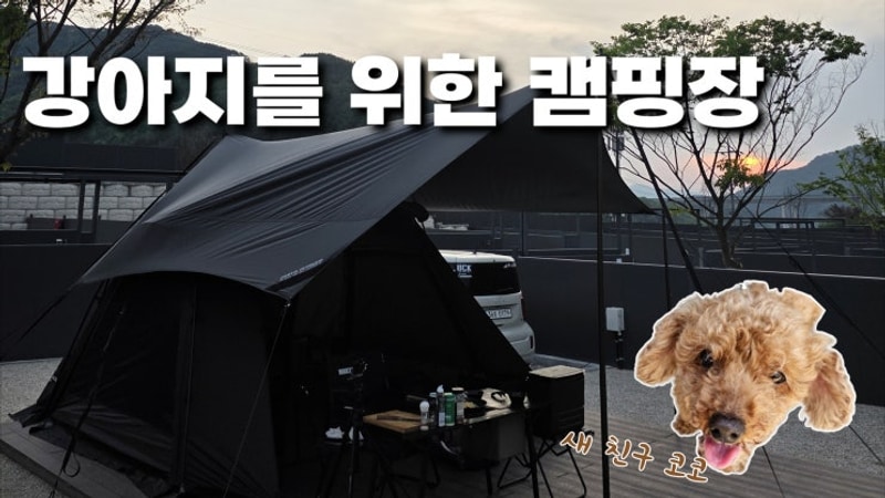 [강원도 인제] 독차지 캠핑장/ 캠핑장 추천/ 애견동반 캠핑장...