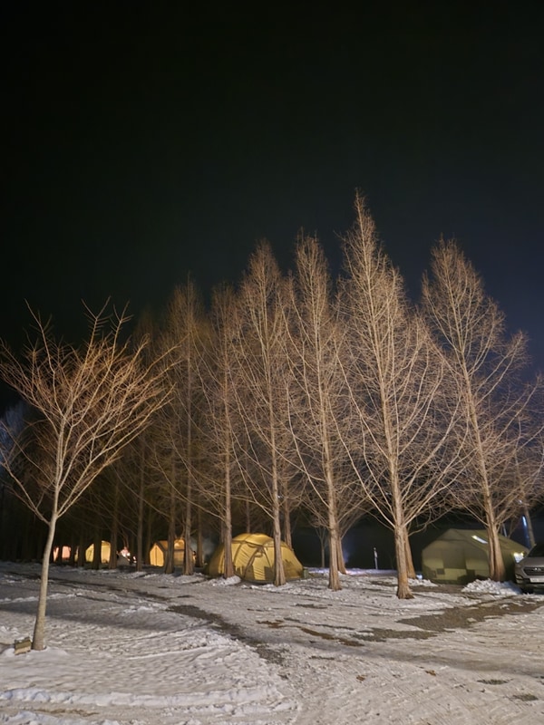 제천 캠핑장 뷰맛집 캠핑장 청풍호반 오토캠핑장 명당추천