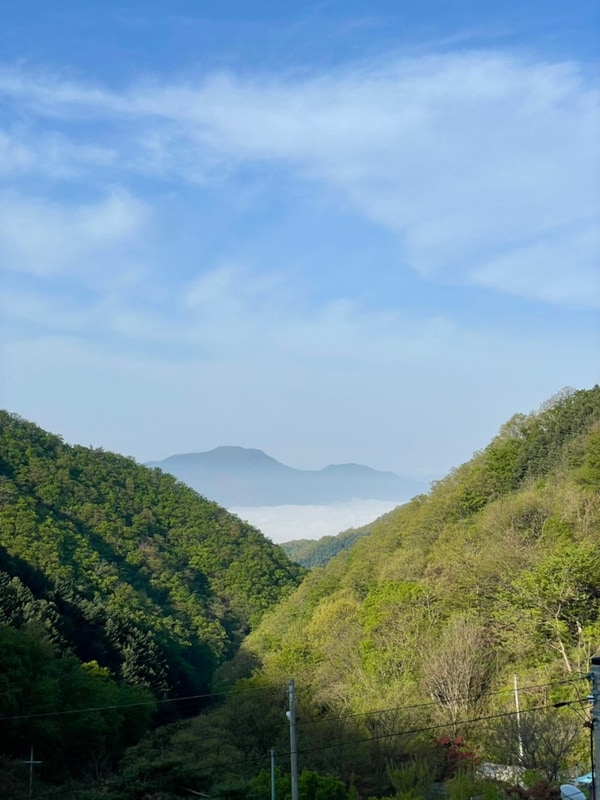가평랜드 캠핑&카라반 애견동반 오토캠핑