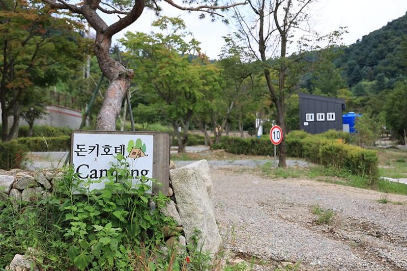 돈키호테캠핑 대표 사진