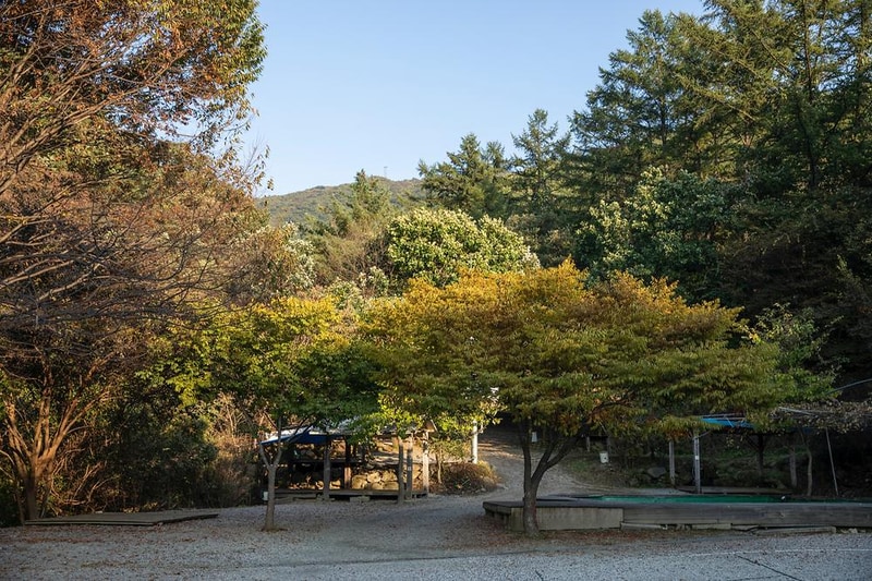 돈내미농장 시설 사진 11