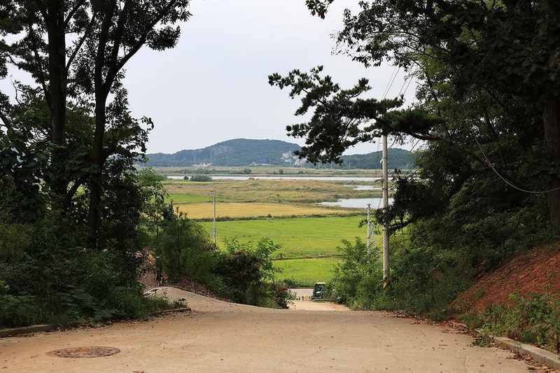 탄도호캠핑장 시설 사진 2