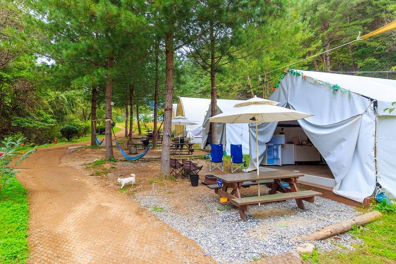 수피아글램핑펜션 시설 사진 15