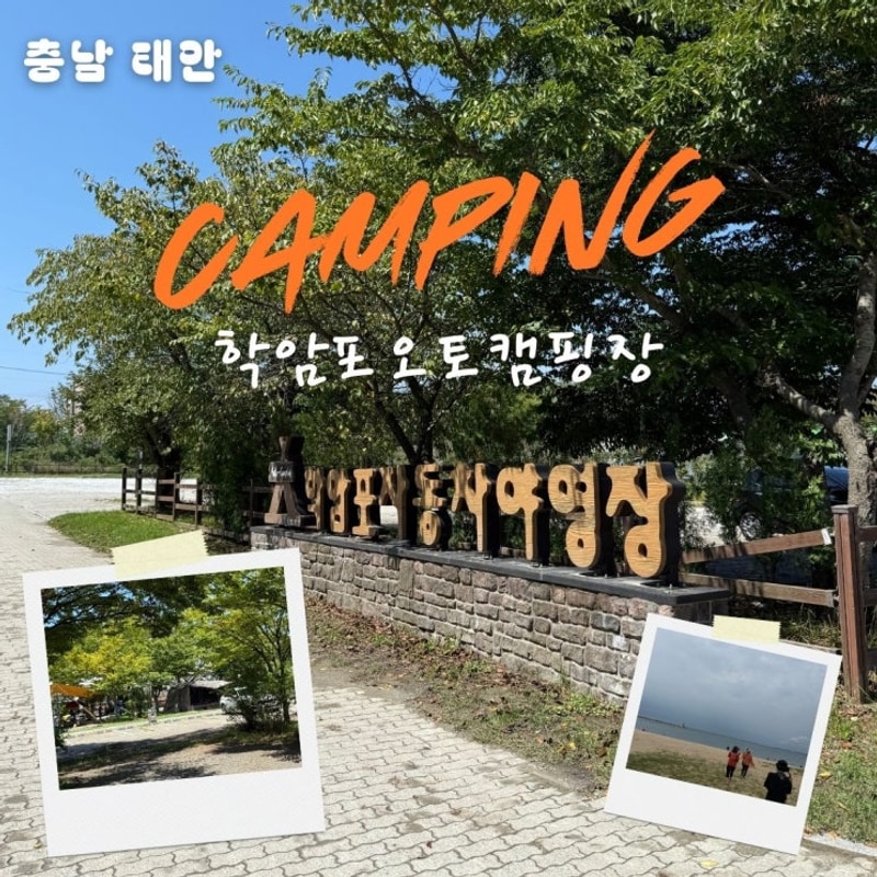 서해바다 바로 앞 국립공원야영장 태안 학암포 자동차야영장...