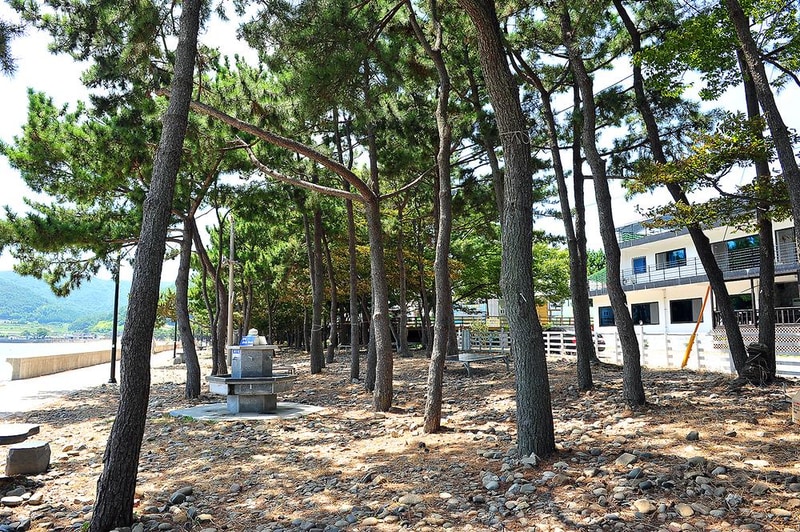 두곡해수욕장야영장 시설 사진 1