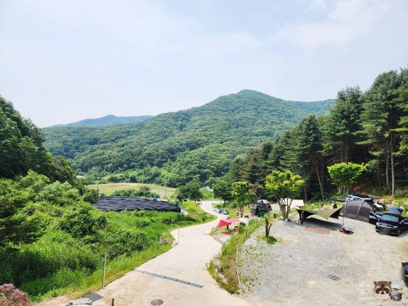 여주 구릉지 캠핑장 | 애견동반 가능 오토캠핑장