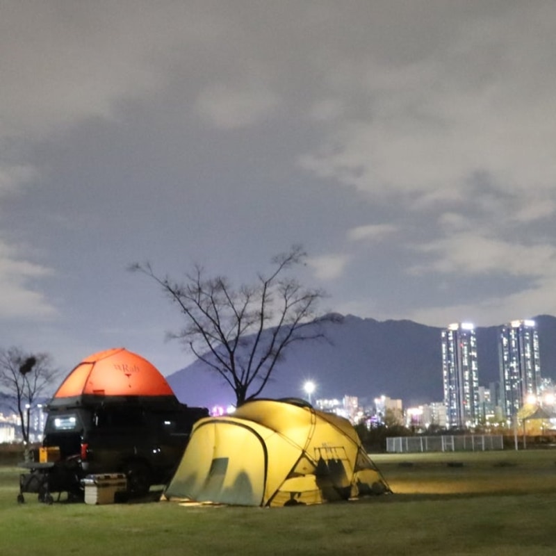 부신 강서 낙동강30리 벚꽃길 벚꽃축제 대저생태공원 대저캠핑