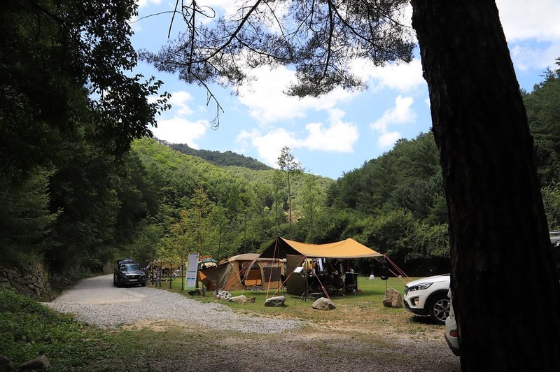 피노키오관광농원 야영장 시설 사진 7