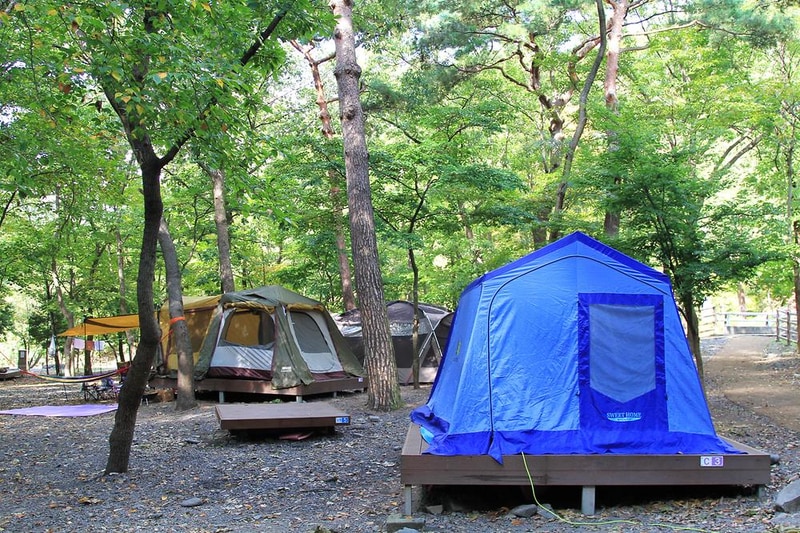 성주산 자연휴양림 시설 사진 3