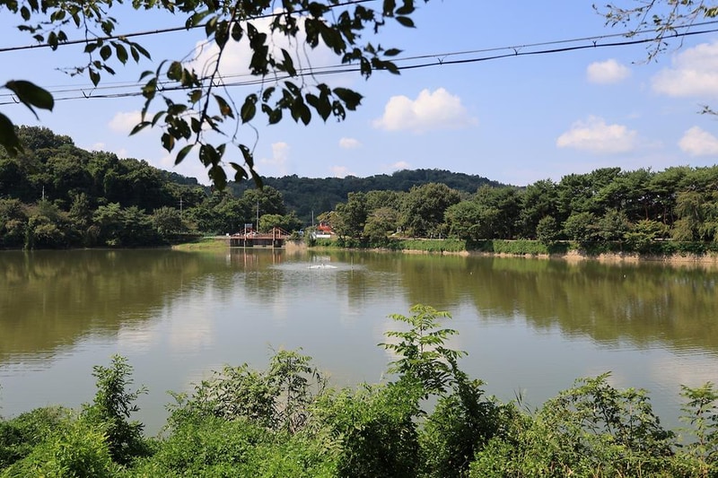 청춘별곡 시설 사진 8