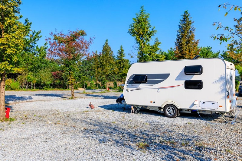 THE쉼오토캠핑장 시설 사진 12