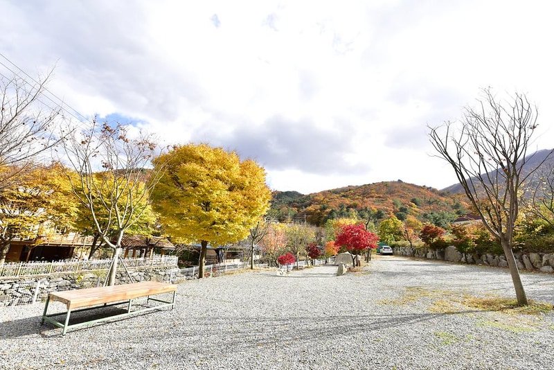 올래캠핑장 시설 사진 11