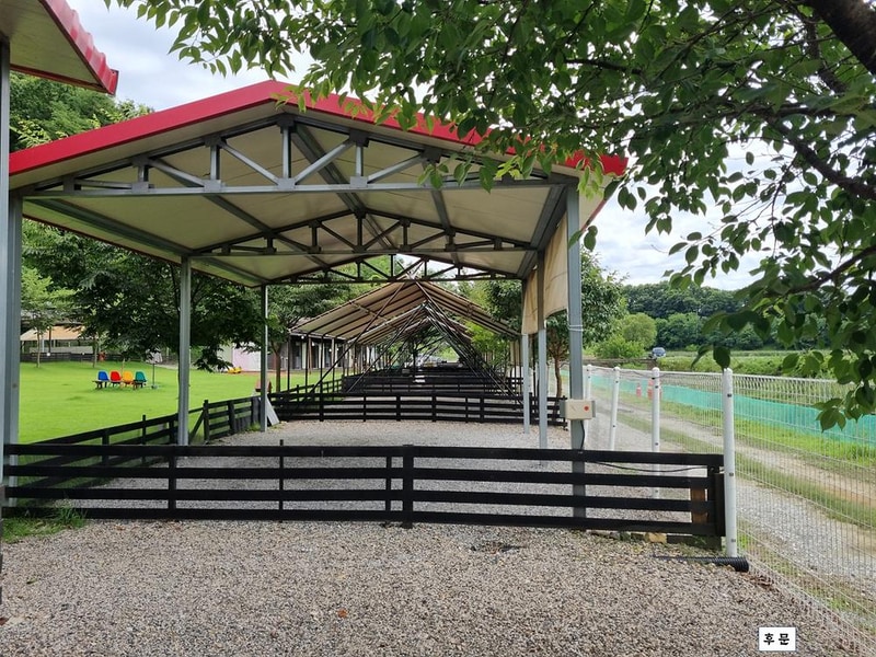 루파니애견캠핑장 시설 사진 13